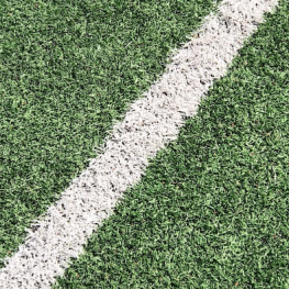 athletic field turf