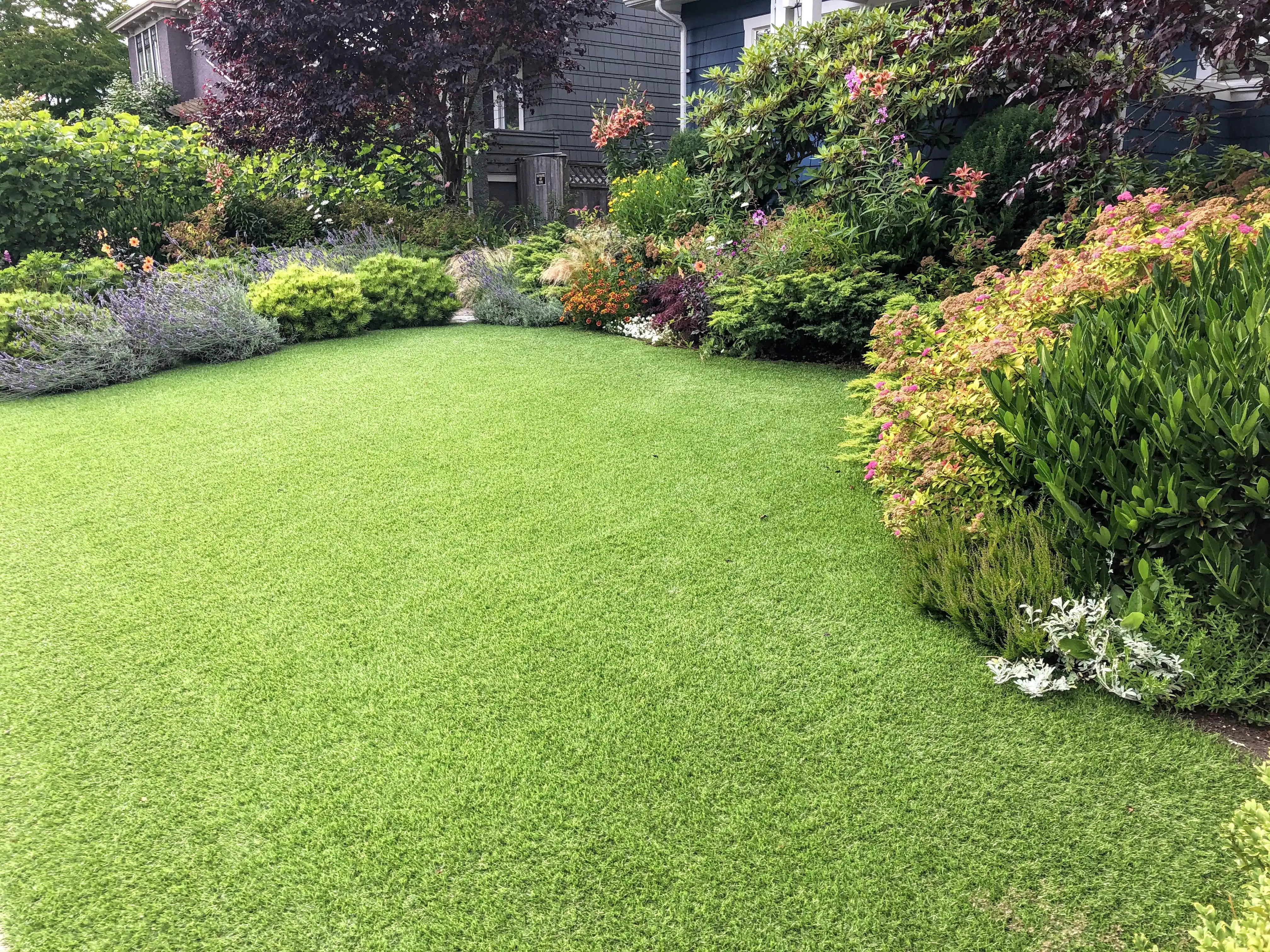 commercial-organic-turf