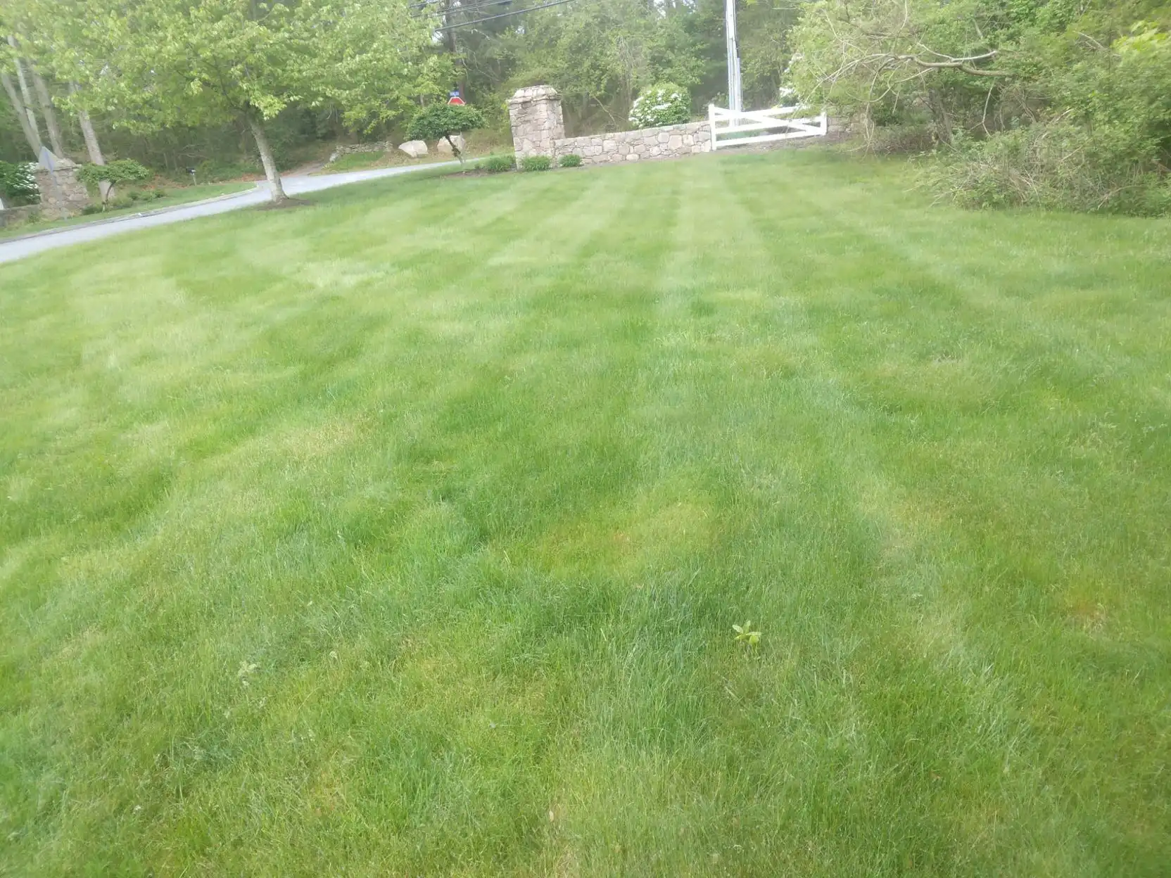 customer lawn 9