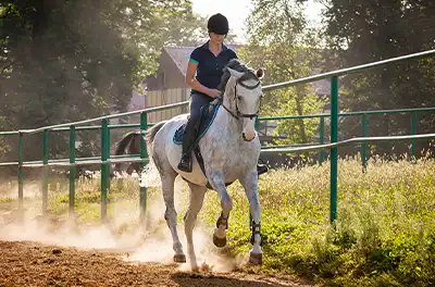 horse rider