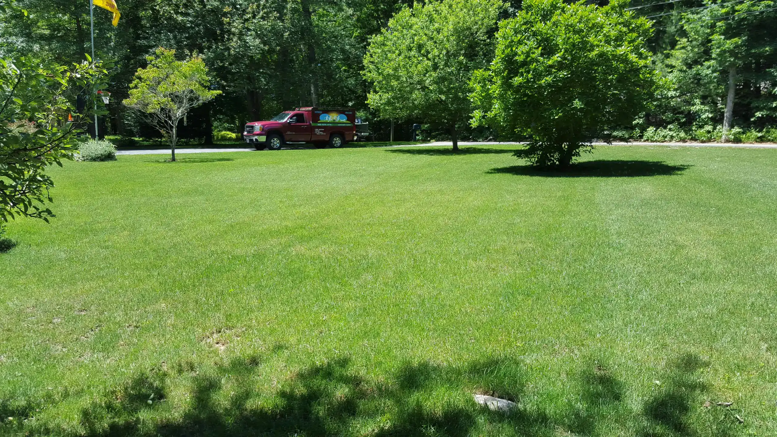 lawn with truck